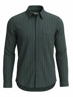 American Eagle Outfitters Dark Green Stripe Button-Down Shirt